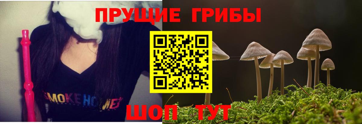 как найти закладки  Вход с VPN  Бутурлиновка  Галлюциногенные грибы Psilocybine cubensis 